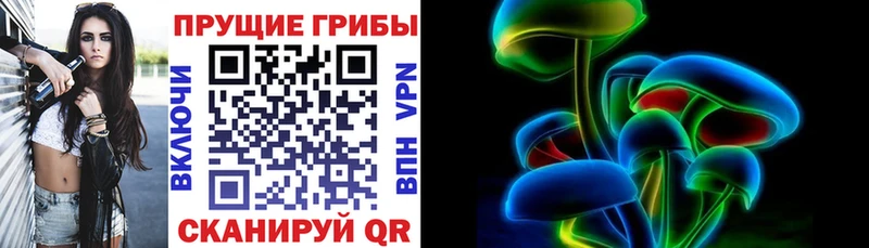 Галлюциногенные грибы Cubensis Кириллов