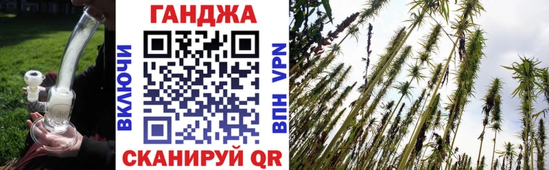 продажа наркотиков Кириллов гидра ссылки Канабис сатива